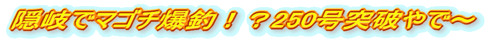 BŃ}S`ށIH250˔jŁ`